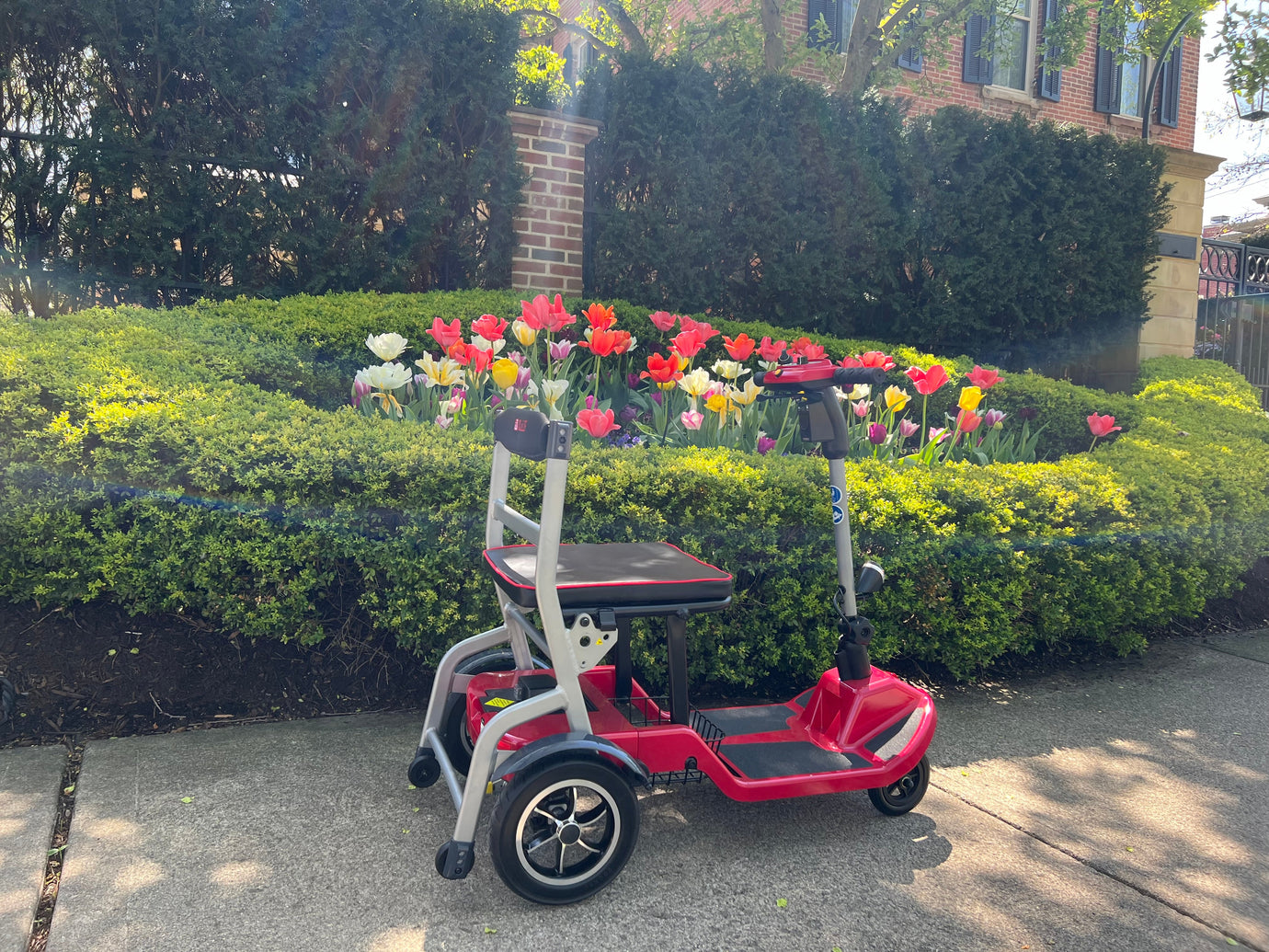Which ZiiRobot Mobility Device is Right for You?