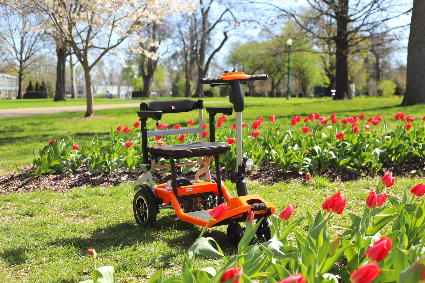 Our Mission at ZiiRobot: Empowering Independence Through Innovation