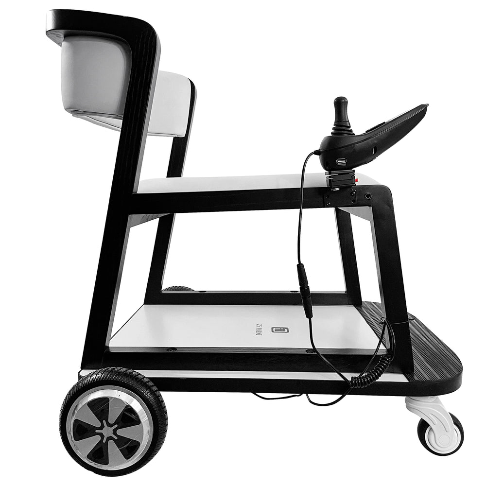 ZiiLIF FurniBOT C1-2024 Smart Chair Stylish for Indoor Mobility